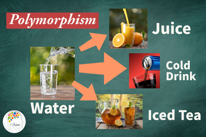 Polymorphism in Python