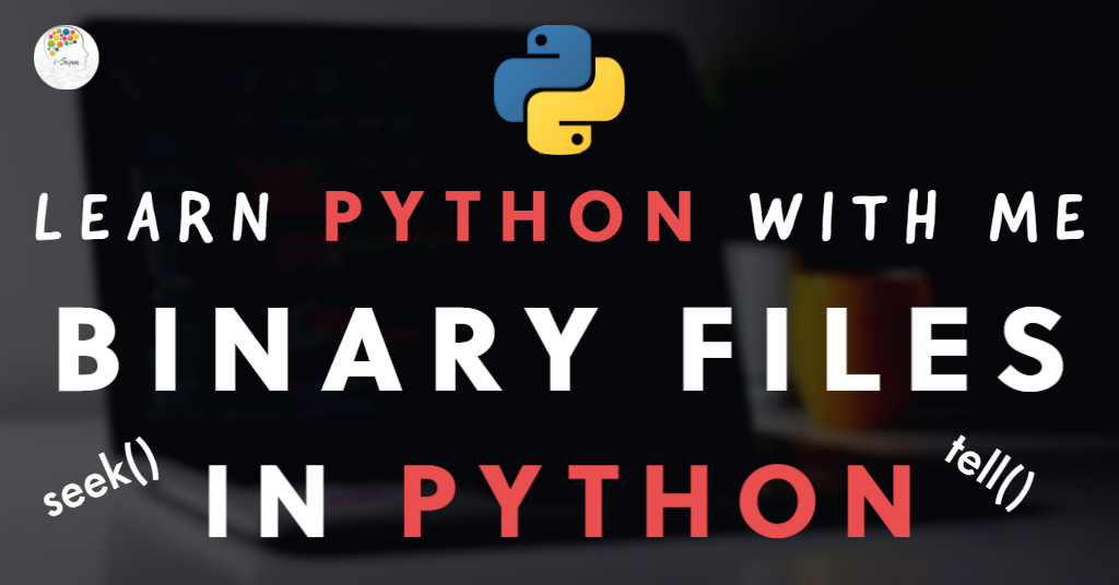 Seek and tell methods binary files in python